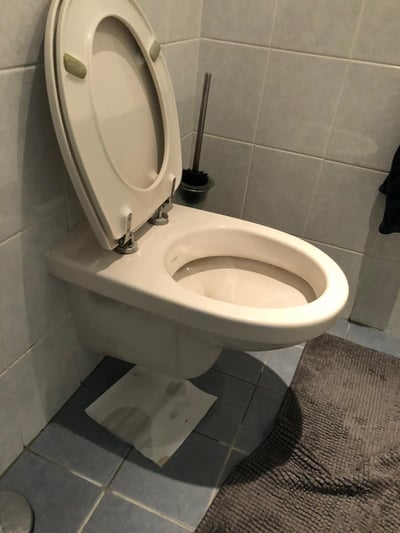 hangtoilet Papendrecht